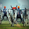 Rural Olympics Ludhiana