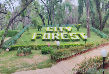 chandigarh city forest